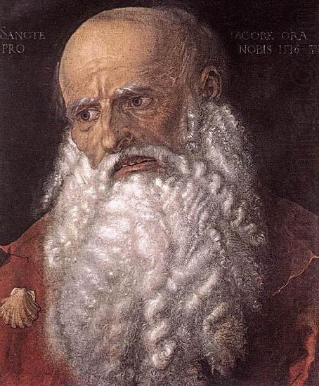 Albrecht Durer The Apostle James the Elder china oil painting image